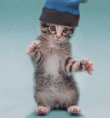/album/gifs/fire-gif/