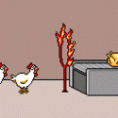 /album/gifs/galinha-gif/